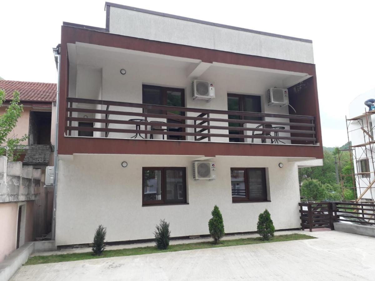 Vila Ovidiu Băile Herculane Exterior foto